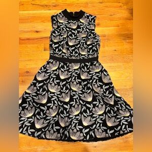 Self-Portrait Black and Gray Dress